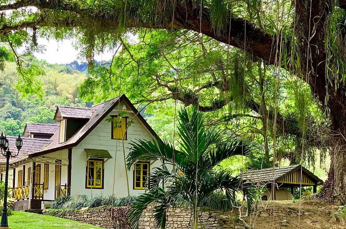 Half-day 3-Course Cocoa Lunch Tour in Trinidad - Private Tour, Group Policy, and a Serious Caveat