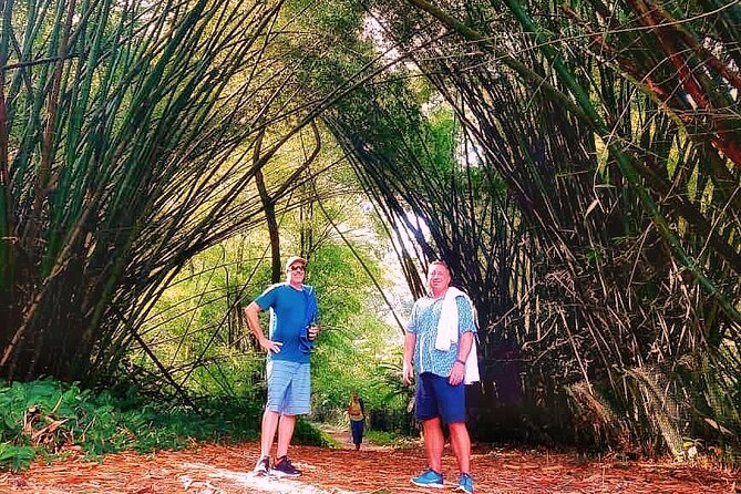 Half Day Group Tour to Tobago Atlantic Coast - Booking, weather, and cancellation details