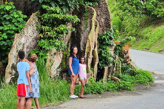 Half Day Tobago Tours with Transfers - Key points to know before booking
