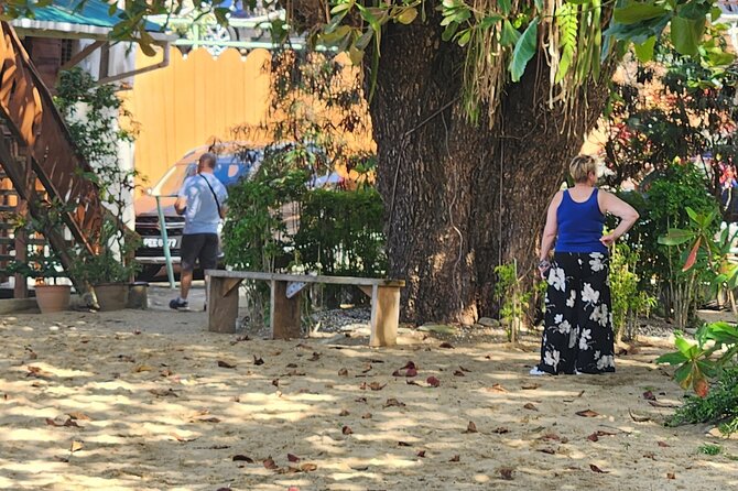 Half Day Tobago Tours with Transfers - Mt Dillion brings wide views over Castara