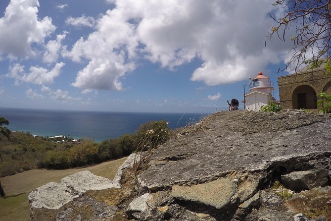 Highlights of Tobago Tour - Scarborough Botanic Garden: a 20-minute tropical pause