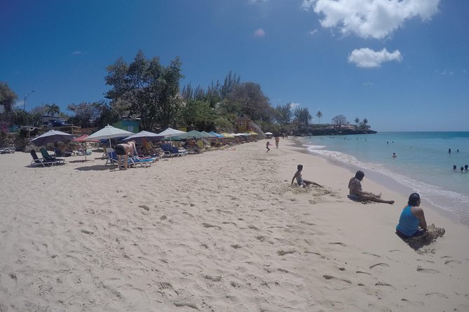 Highlights of Tobago Tour - The guide can make or break the experience