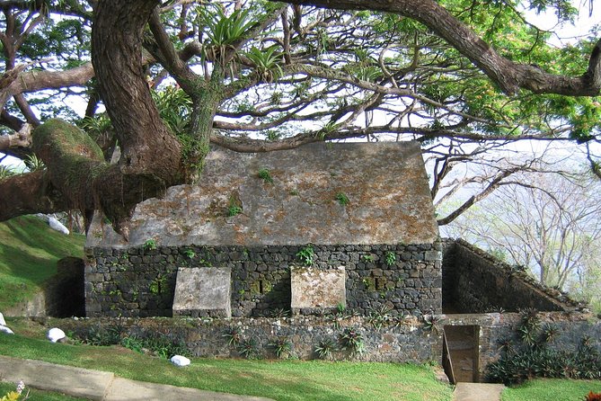 Highlights of Tobago Tour - Transport, pickup, and timing details