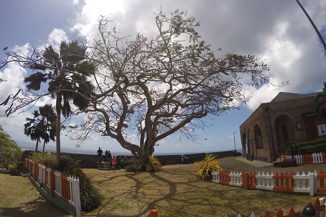 Highlights of Tobago Tour - Is $75 a fair price?