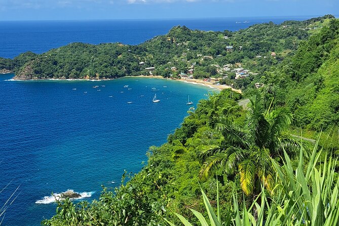 Island Tour (Food and Drinks include) - From Buccoo Road to Tobago’s coast