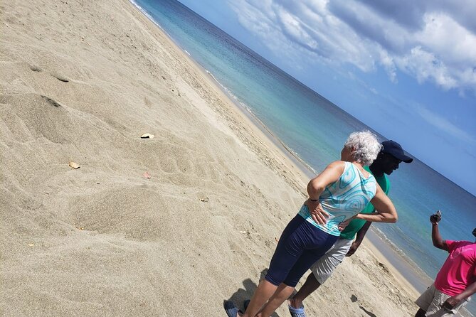 Island Tours of Tobago - Fort Granby and Englishman’s Bay: a quieter coastal stretch