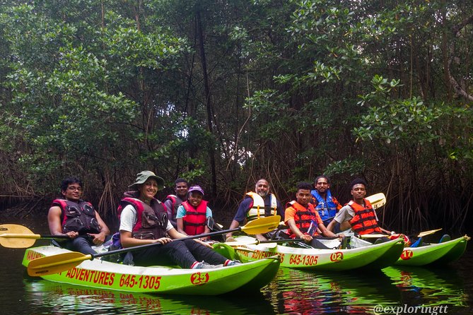 Kayak Adventure in the Second Largest Swamp of Trinidad and Tobago - Key points to know before you book