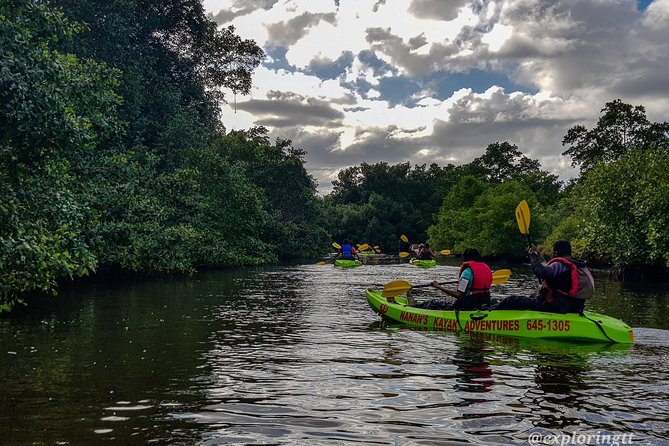 Kayak Adventure in the Second Largest Swamp of Trinidad and Tobago - Why Caroni Swamp makes a good kayak outing