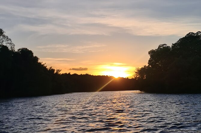 Kayak Adventure in the Second Largest Swamp of Trinidad and Tobago - The return by open flat-bottomed boat
