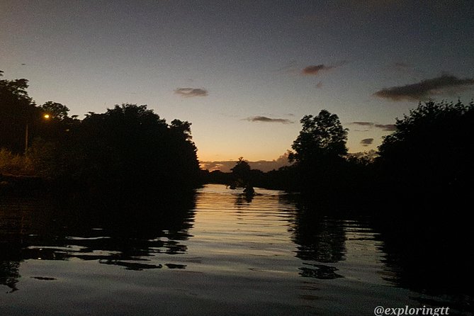 Kayak Adventure in the Second Largest Swamp of Trinidad and Tobago - What Dominic adds to the day