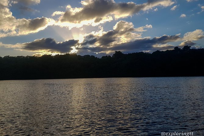 Kayak Adventure in the Second Largest Swamp of Trinidad and Tobago - Is the $200 price fair?
