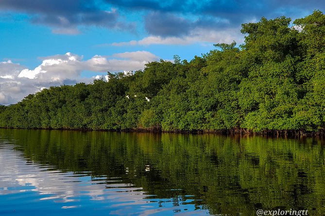 Kayak Adventure in the Second Largest Swamp of Trinidad and Tobago - Who should book this Caroni Swamp experience?