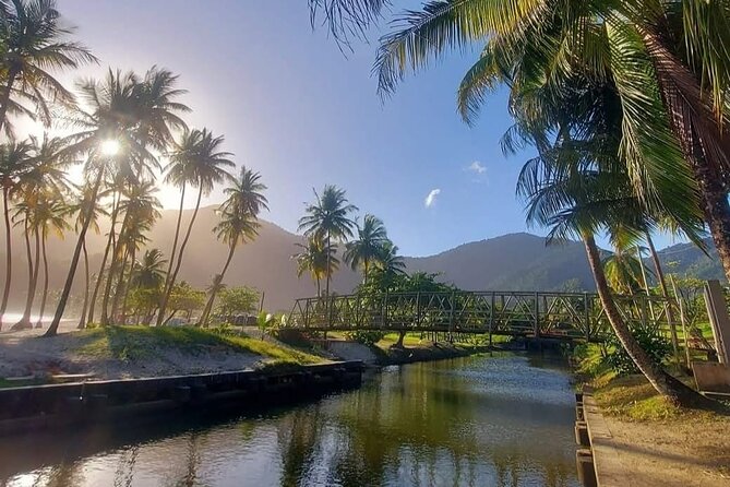 Maracas Beach Excursion & City Pass by tour - Woodford Square and a brief historical layer