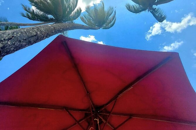 Maracas Beach Excursion & City Pass by tour - What the $59 price really buys you