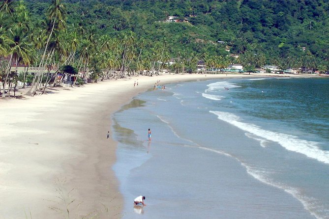 Maracas Beach Trip - Key Points to Know Before You Book