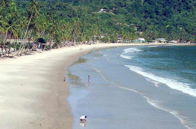 Maracas Beach Trip - Is $114 a Fair Price?
