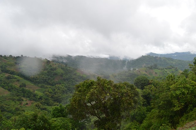 Mountain Village Adventure - Paramin village life beyond the main roads
