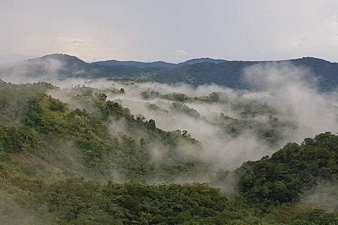 Paramin Jeep Tour in Trinidad - What the guide adds to the ride