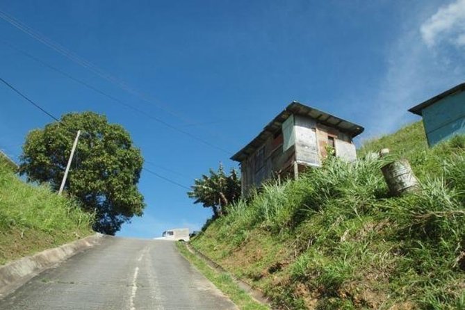 Paramin Jeep Tour in Trinidad - Weather, cancellations, and practical comfort