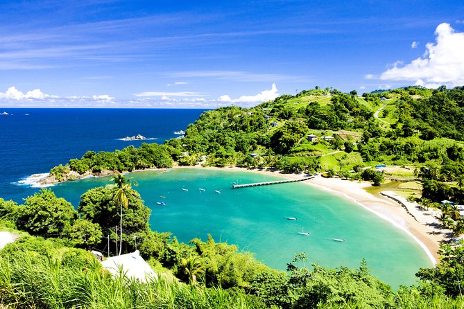 Partlatuvier Bay Day Trip with Lunch - Key Things to Know Before You Book