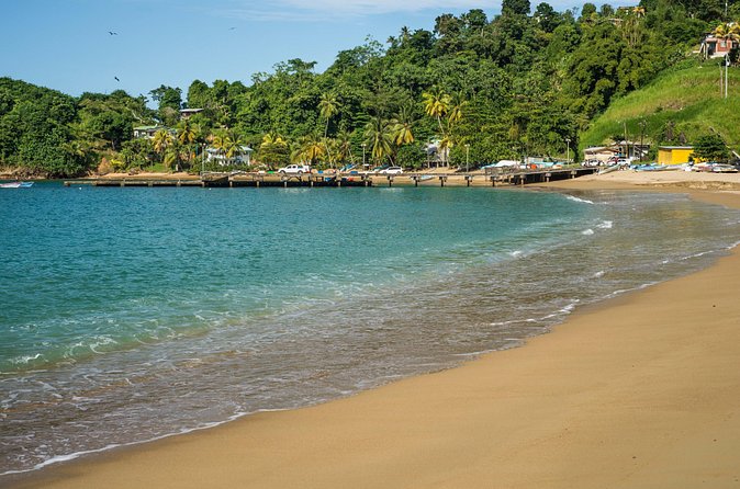 Partlatuvier Bay Day Trip with Lunch - Is $185 a Fair Price?