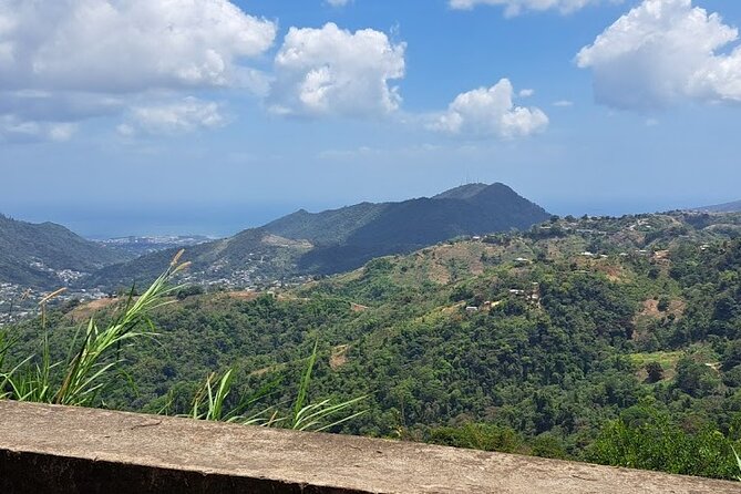 Personalized Private Tour The Paramin Hills - A private drive where the road is part of the attraction
