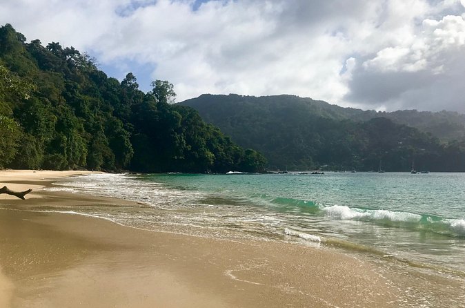 Pirate's Bay Day Trip with Lunch - Snorkeling for turtles, squid, fish, and coral