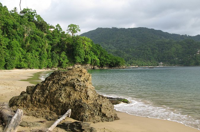 Pirate's Bay Day Trip with Lunch - Who will get the most from this half-day outing