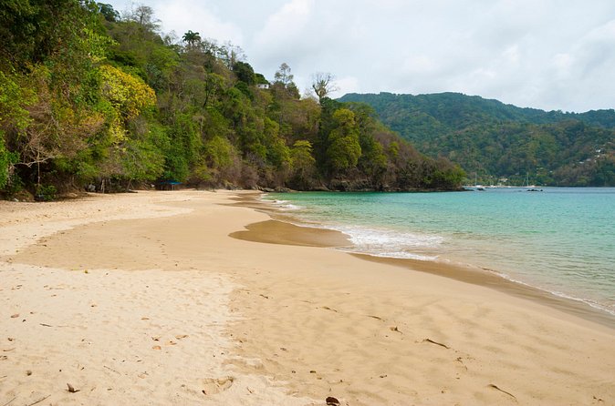 Pirate's Bay Day Trip with Lunch - Timing, weather, and cancellation advice