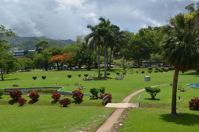Port of Spain and Fort George Sightseeing Tour - Traffic, transport, and the real pace