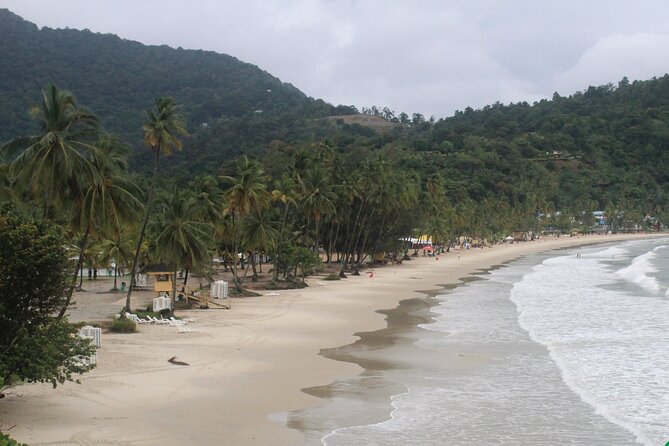 Port of Spain City Highlights and Maracas Beach - Queen’s Savannah Park and the wider Port of Spain view