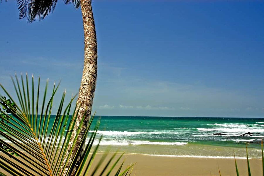 Port of Spain: Coastal Tour of Trinidad - Key points to know before you go