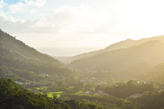 Port of Spain Private Walking Tour with a Local - Why private touring can be worth $48