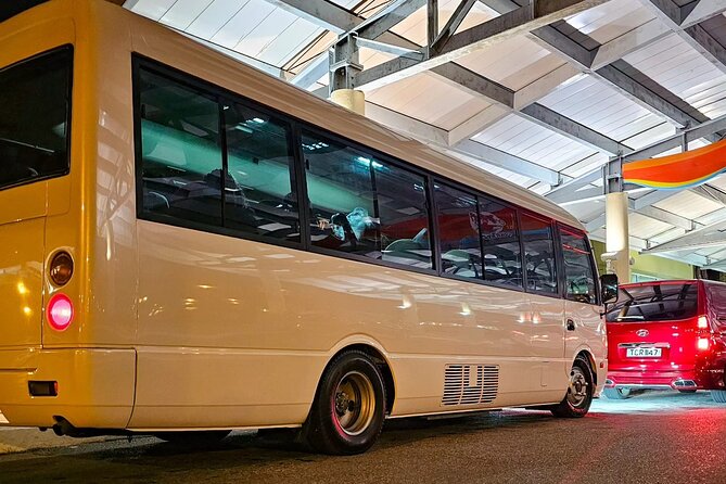 Private Transfer from Piarco Airport to San Fernando - A practical airport arrival at Piarco