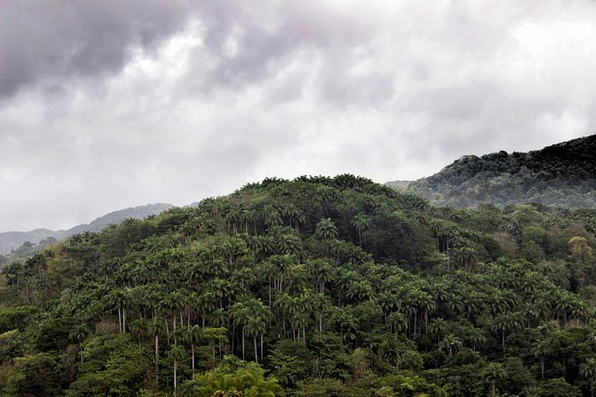Rainforest Tour - Is $140 good value?
