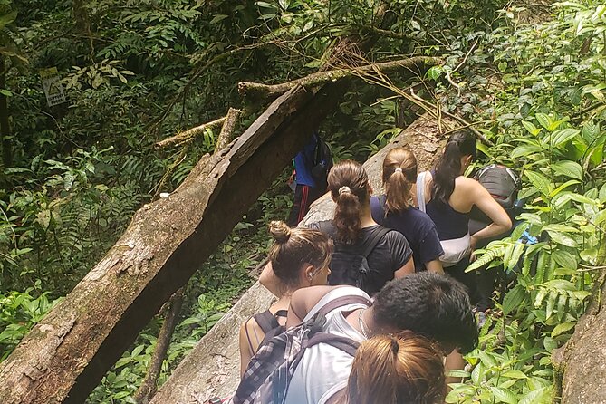 Rio Seco Waterfall Day Adventure - Is $110 per person good value?