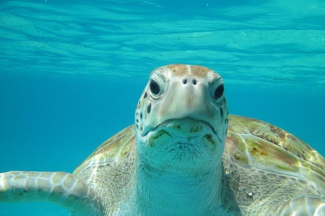Snorkeling Tour (with Light Refreshments) - Key points to know before booking