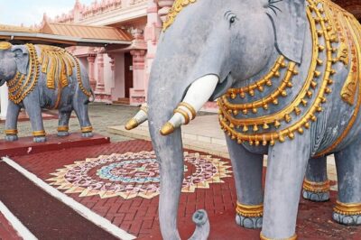 South Tour (Package) to Trinidad Pitch Lake & Datatria Temple