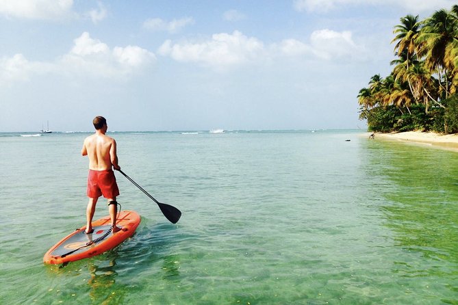 Stand Up Paddle Lessons - Key points at a glance