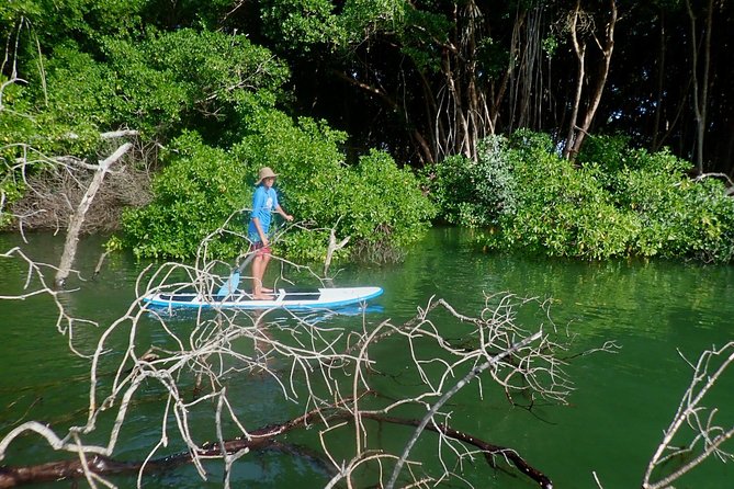 Stand Up Paddle Lessons - Getting there and planning your visit
