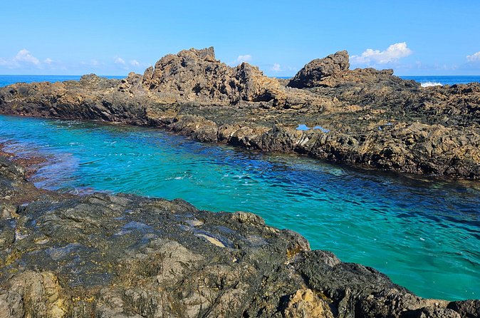 The Grand Circle 24-Hour All-Inclusive Island Experience - Starting early and seeing Tobago in one long sweep