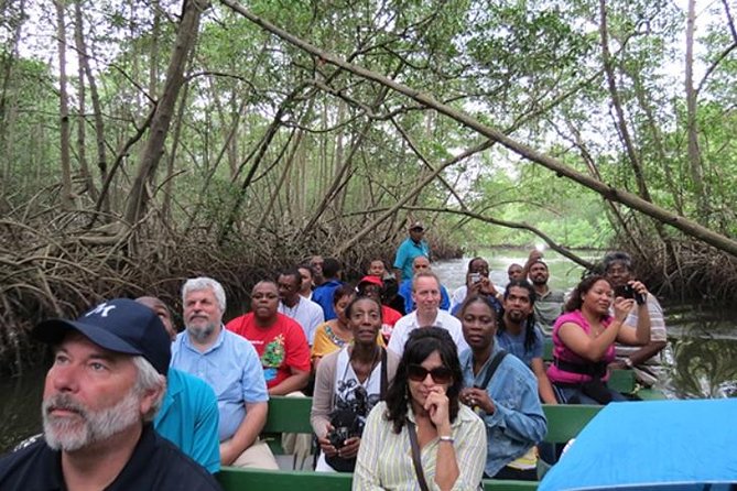 The Scarlet Ibis - Caroni Swamp Tour - Five things to know before you book