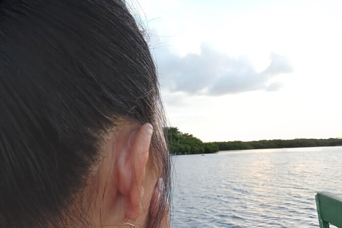 The Scarlet Ibis - Caroni Swamp Tour - What $55 gets you
