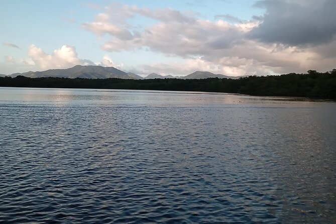 The Scarlet Ibis - Caroni Swamp Tour - Small drawbacks to keep in mind
