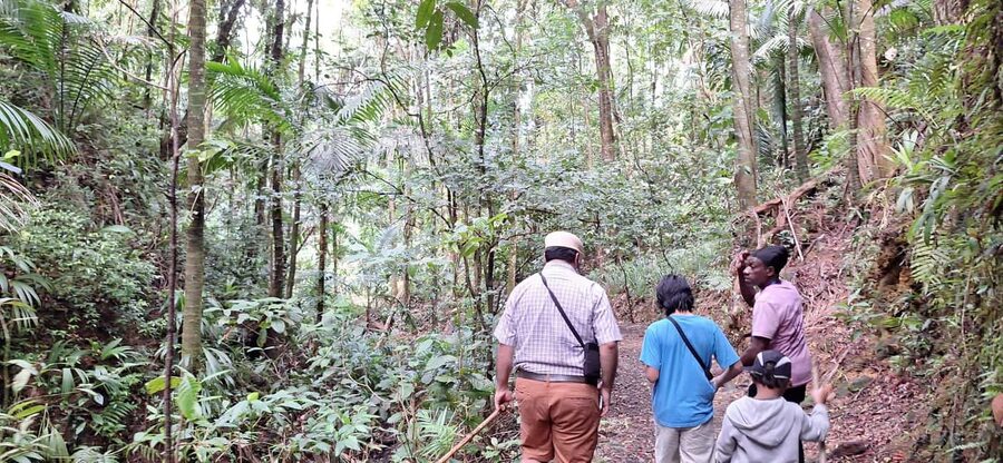 The Tobago Rainforest Tour - Key points to know before booking