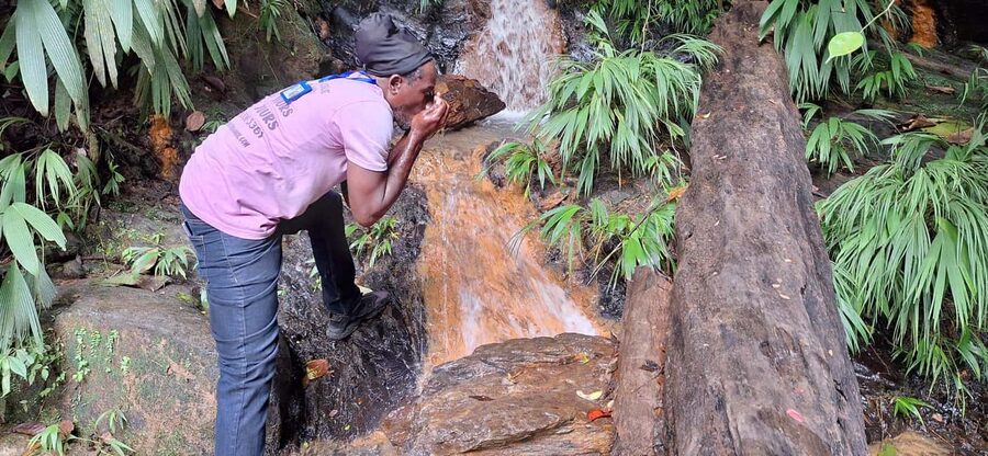 The Tobago Rainforest Tour - Why Tobago’s rainforest makes a strong half-day outing