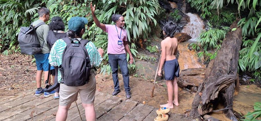 The Tobago Rainforest Tour - What the two to three hours on foot may feel like