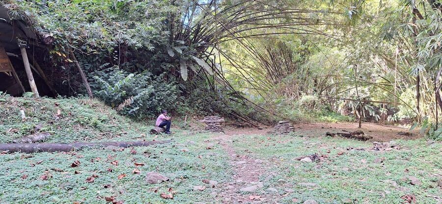 The Tobago Rainforest Tour - A guided forest walk with birds and botanical plants