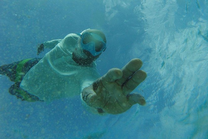 The ULTIMATE Bioluminescence night time adventure with Brandon - Swimming and snorkeling among glowing plankton