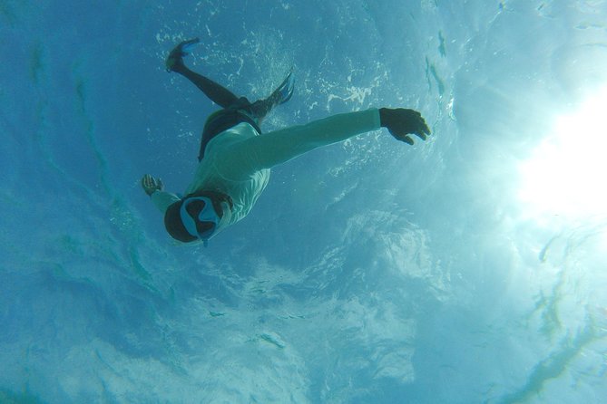 The ULTIMATE Bioluminescence night time adventure with Brandon - Is $170 per person good value?
